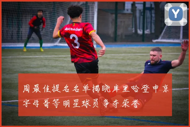 周最佳提名名单揭晓库里哈登申京字母哥等明星球员争夺荣誉
