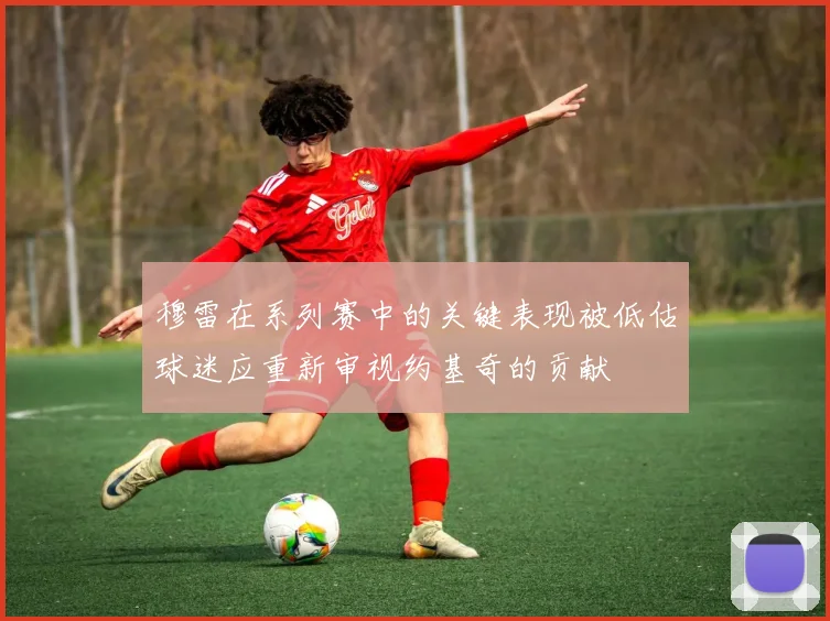 穆雷在系列赛中的关键表现被低估球迷应重新审视约基奇的贡献