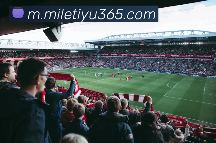 App Interface Preview