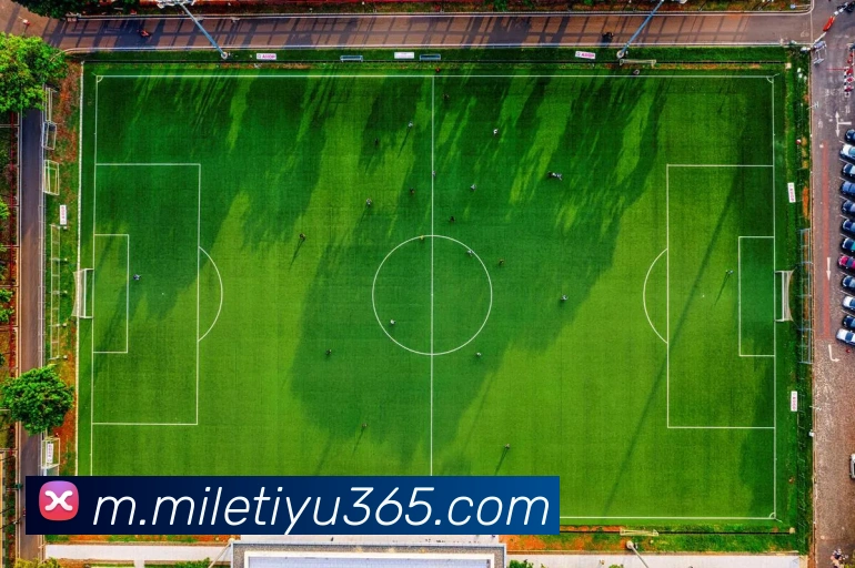 米乐体育APP 封面图